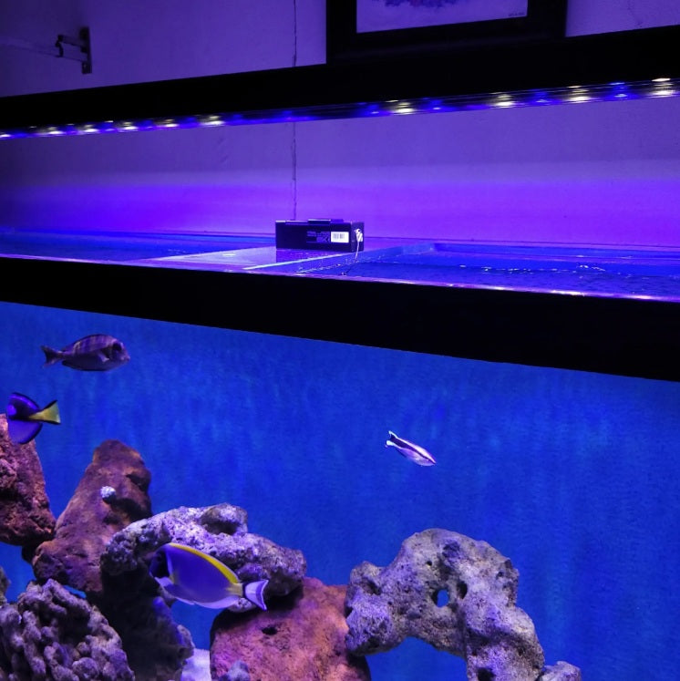 Pacifica Titan (4 Feet Back Mountable/Hangable Reef Light)