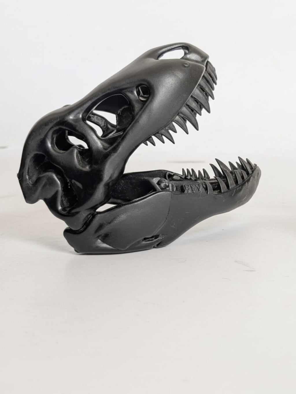 T-Rex Skull - Small