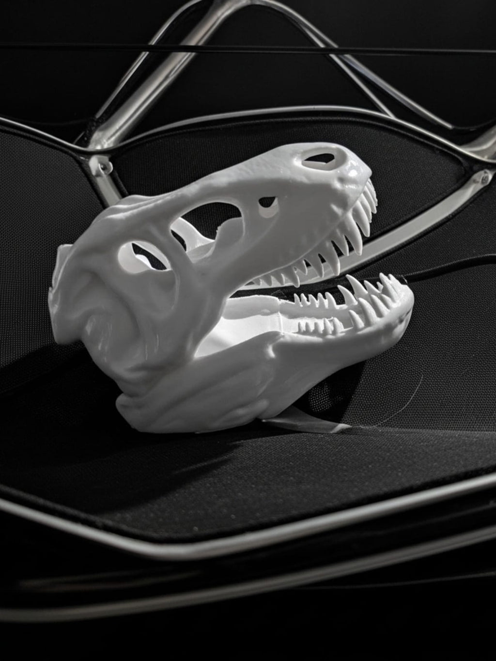 T-Rex Skull - Small
