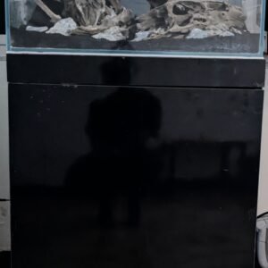 Custom Aquarium Cabinet