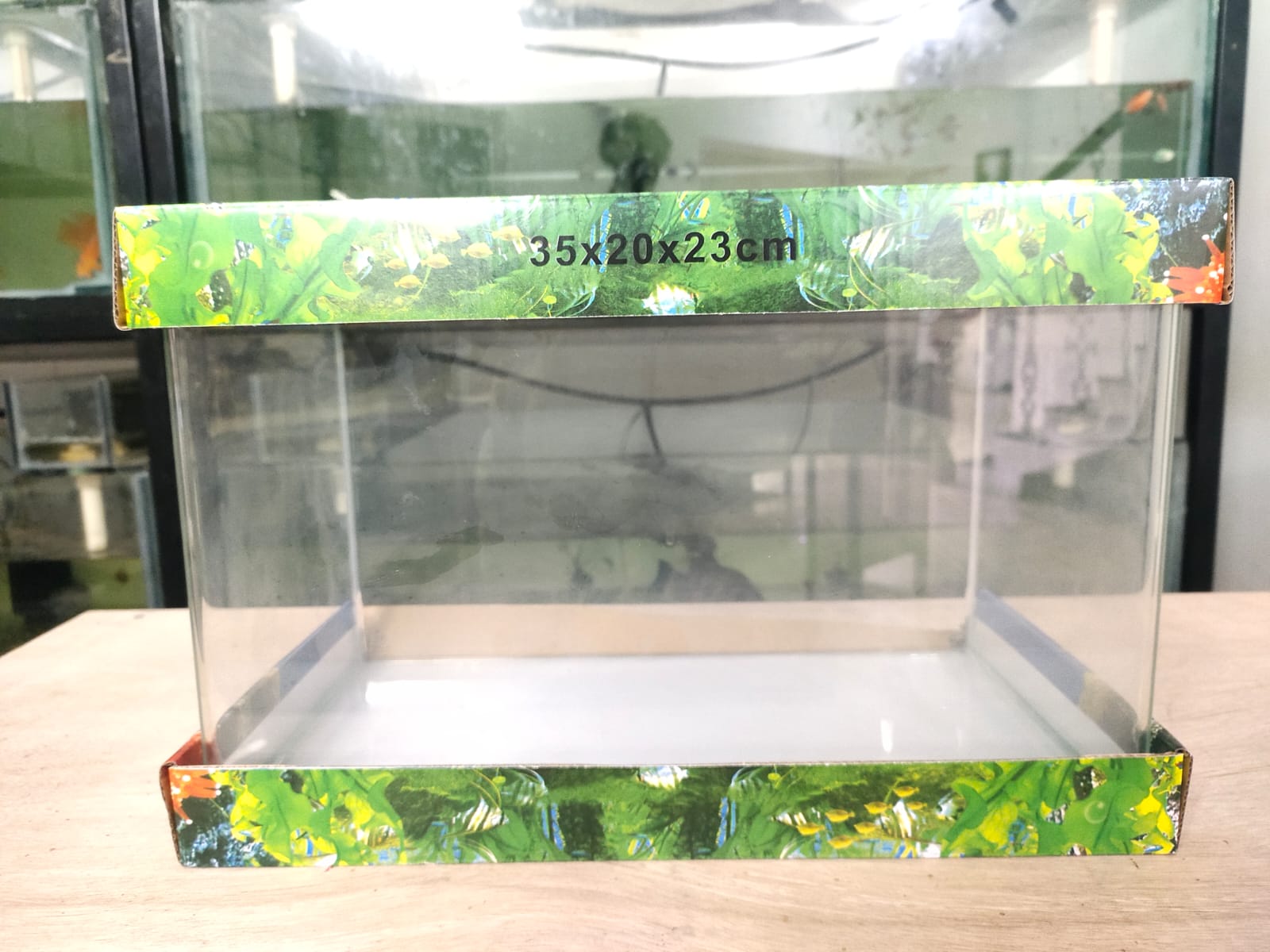 Rechtmatig Pennenvriend inhalen Curved Glass Aquarium Tank - 35 cm (35 x 20 x 23) - Splashy Fin Live Fish  Bangalore Only Shipping