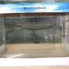 Curved Glass Aquarium Tank - 40 cm (40 x 23 x 25)
