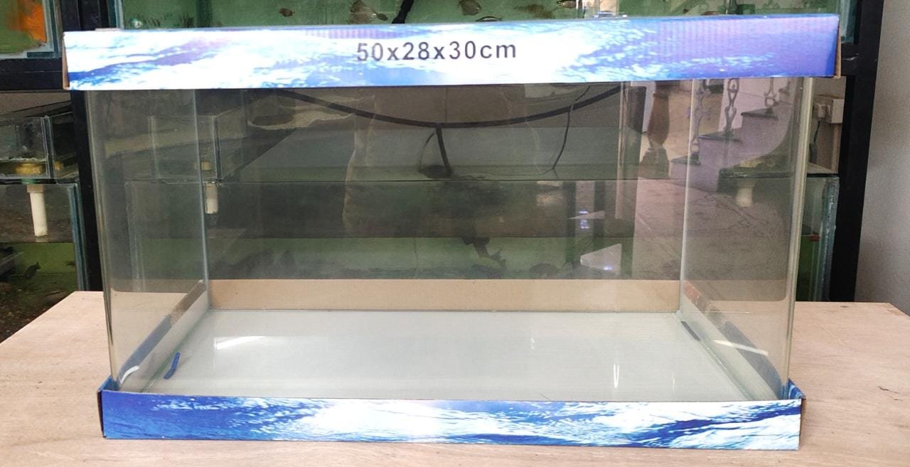 paddestoel publiek aanklager Curved Glass Aquarium Tank - 50 cm (50 x 28 x 30) - Splashy Fin Live Fish  Bangalore Only Shipping