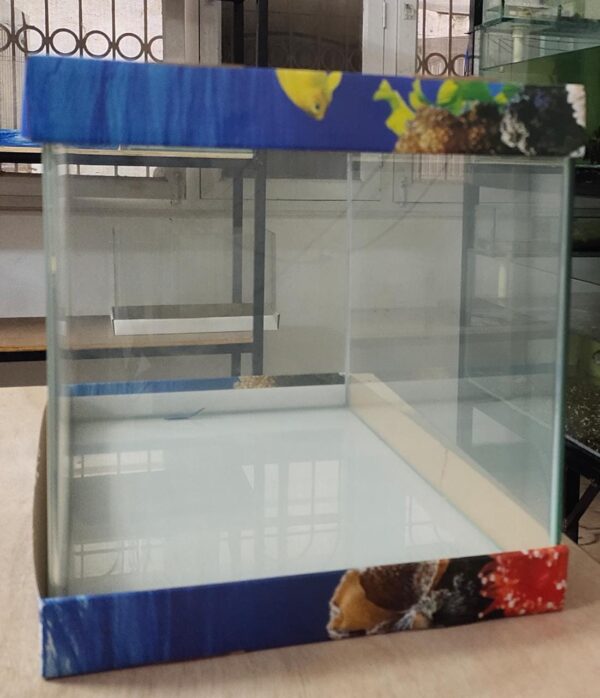 Curved Glass Aquarium Tank - 50 cm (50 x 28 x 30)