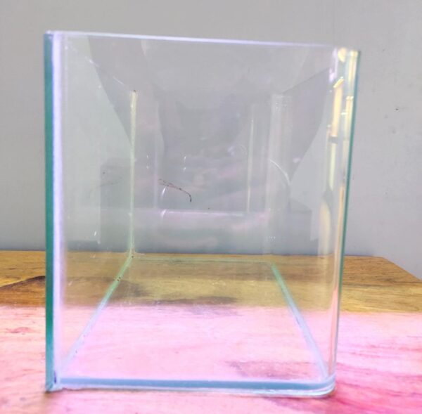 Curved Glass Aquarium Tank – 22 cm