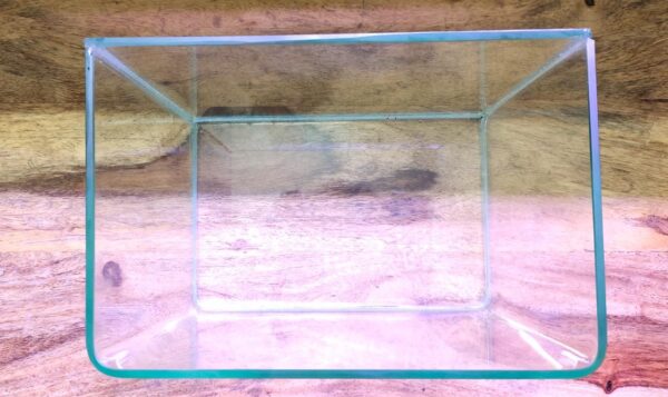 Curved Glass Aquarium Tank – 22 cm