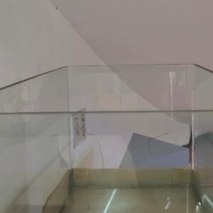 Curved Glass Aquarium Tank – 3 ft