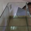 Curved Glass Aquarium Tank – 3 ft